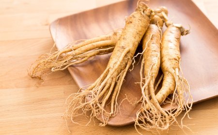 Ginzeng: Az Élet Gyökere