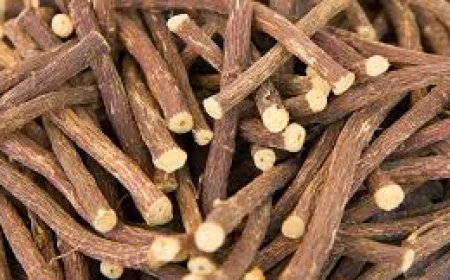 Az Édesgyökér Gyógynövény: Hasznos Tudnivalók és Egészségügyi Előnyök