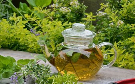 Zöld Tea: Az Életelixír Gyógynövény