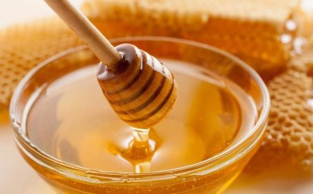 A Méz: Édes kincs az egészség szolgálatában