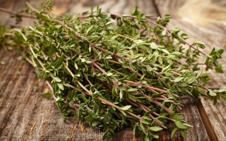 Kakukkfű Szirup: Természetes Csodaszer a Konyhából