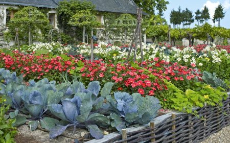 Milyen zöldségeket ültessünk együtt magaságyásokban?