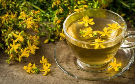 Nyugtató hatású gyógynövények: Természetes megoldások a stressz és szorongás ellen