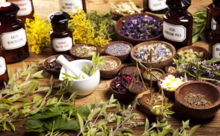 Mi az a fitoterápia? Mit csinál egy fitoterapeuta?