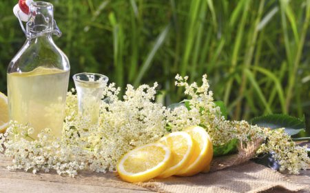 Bodza szörp: A frissítő nyári ital