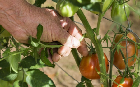 A Kacsolás: Mi az, mikor kell, és mi értelme?