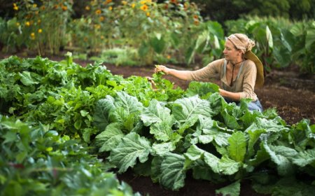 Kertészeti megoldások: Kártevőriasztó növények