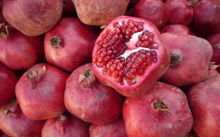 Gránátalma: A természet csodagyümölcse