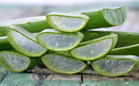 Természetes gyógymódok kisebb égési sérülésekre