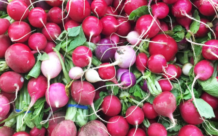 A retkek csodálatos világa