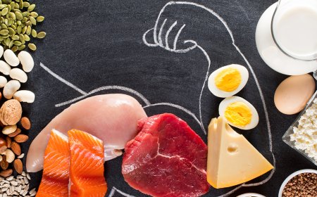 Magas fehérje tartalmú ételek