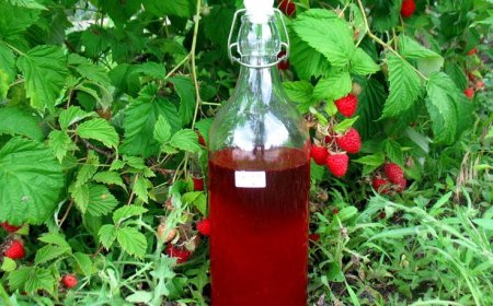 Házi málnaszörp recept