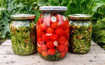 A fermentálás művészete