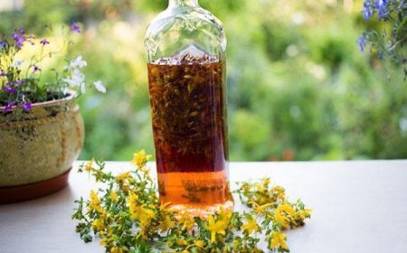 Orbáncfű tinktúra készítés