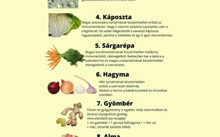 10 természetes immunerősítő