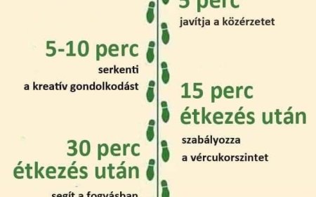 A gyaloglás előnyei