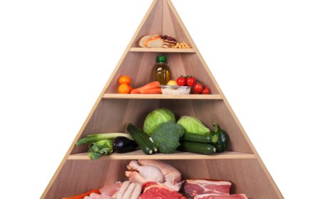 A Paleolit étrend: Vissza a gyökerekhez