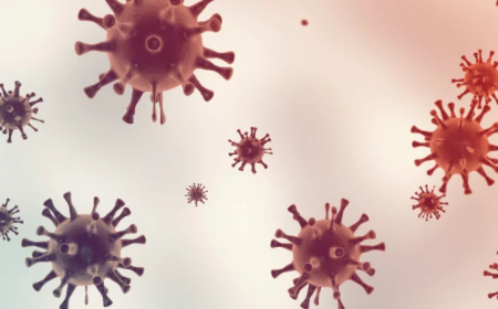 Fertőző betegségek listája